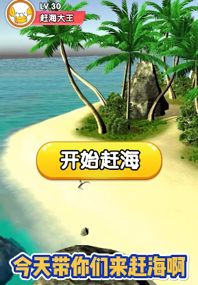 赶海大王