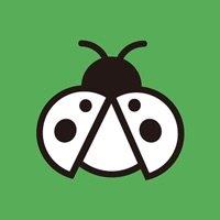 码虫刷题软件