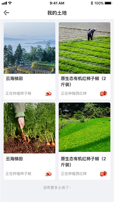 农田趣味截图