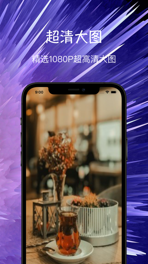 高清主题壁纸摄影大全软件截图