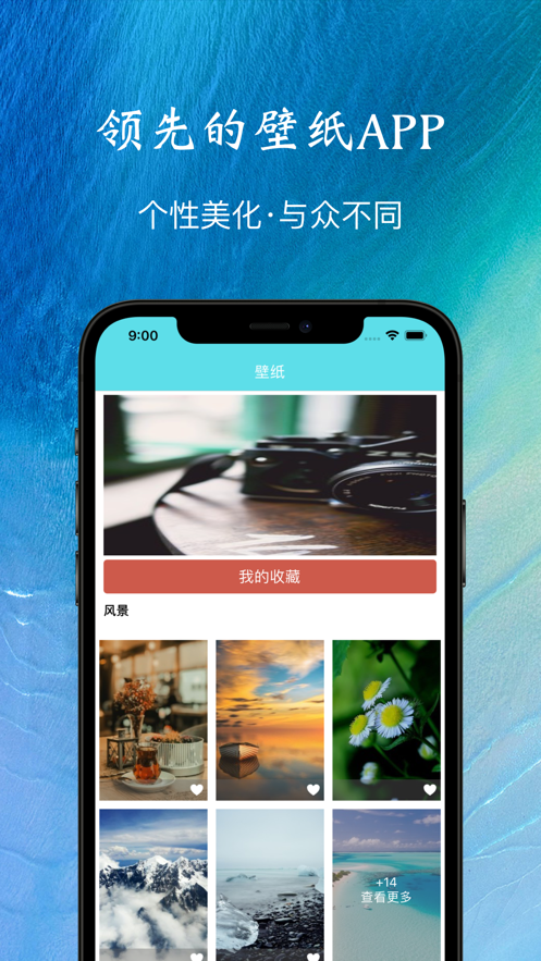 高清主题壁纸摄影大全软件截图