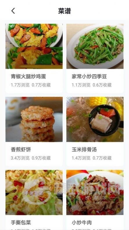 美食家庭菜谱