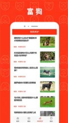 富狗截图