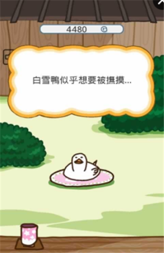 猫咪来了截图