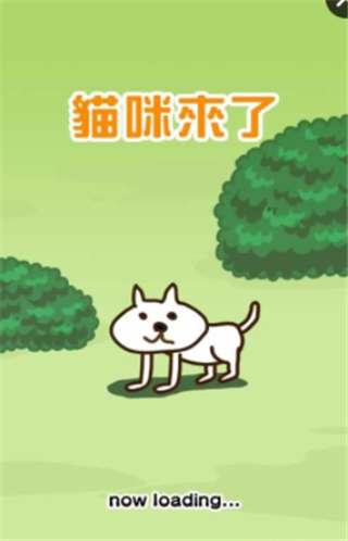 猫咪来了截图