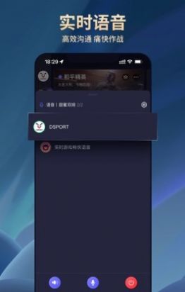 dsport截图