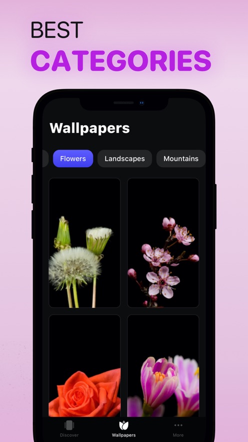 永远动态3D壁纸截图