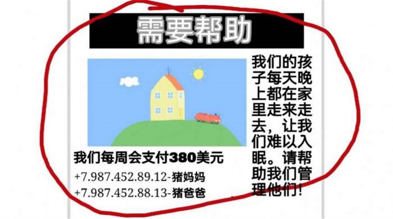 袖珍密码截图