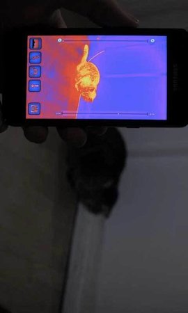 红外热成像相机截图