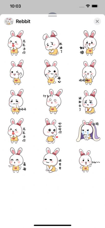多态兔兔截图