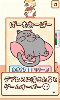 猫咪拳截图