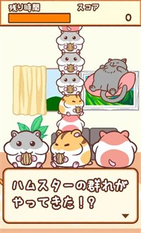 猫咪拳截图