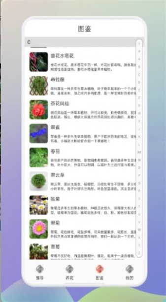 幸福养花场截图