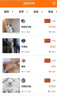宠小七截图