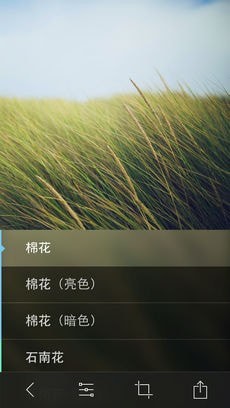 Litely截图