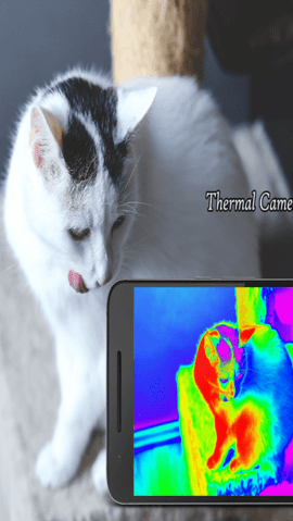 ThermalCamera截图