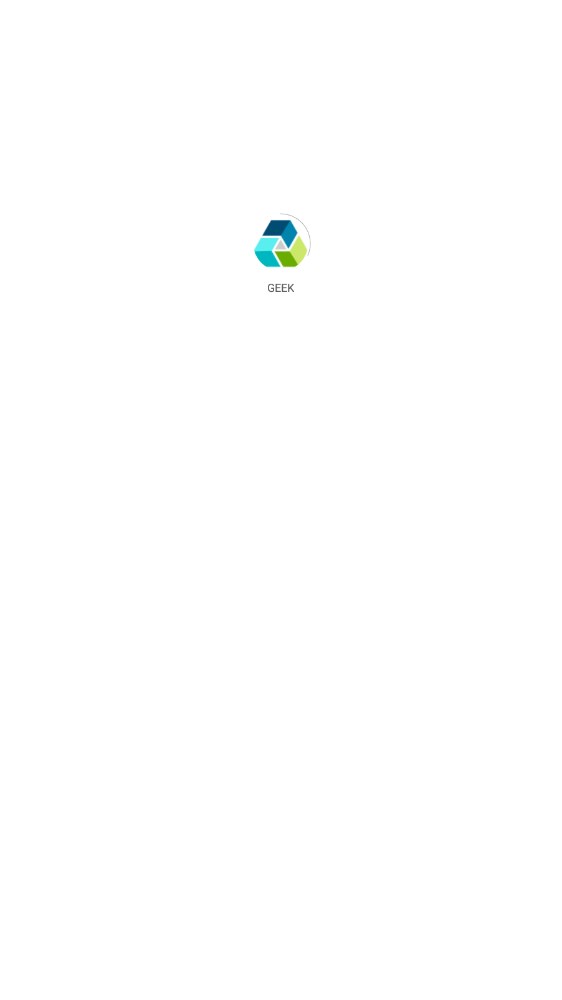 GEEK截图
