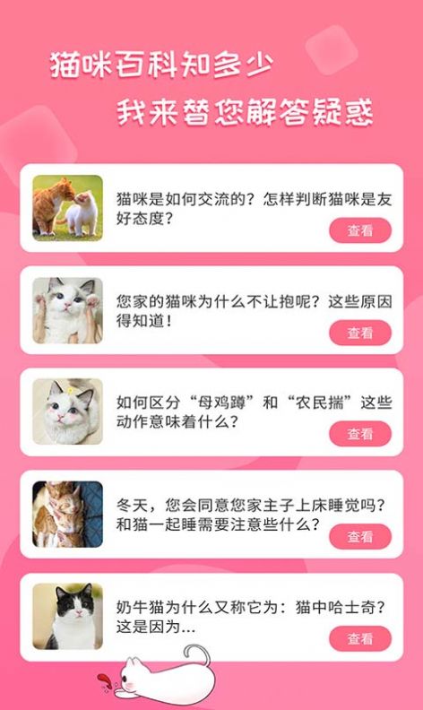 人猫翻译神器截图