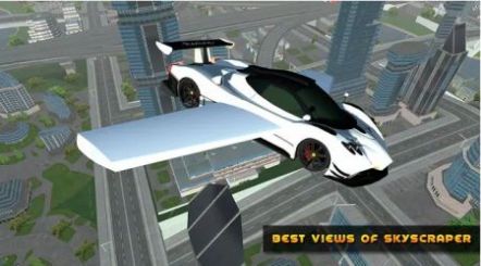 FlyingCarRealDriving截图