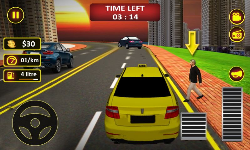ProTaxiDriving截图