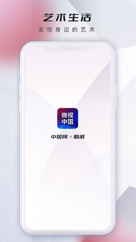 微视中国截图