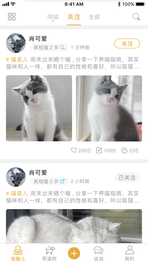 毛茸屋截图