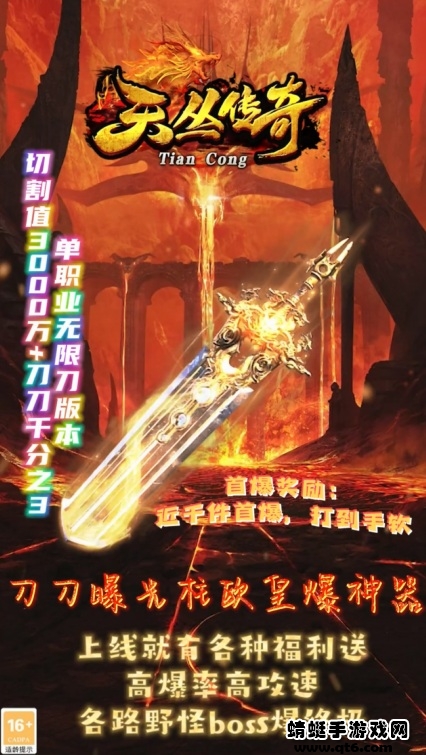 天丛传奇截图