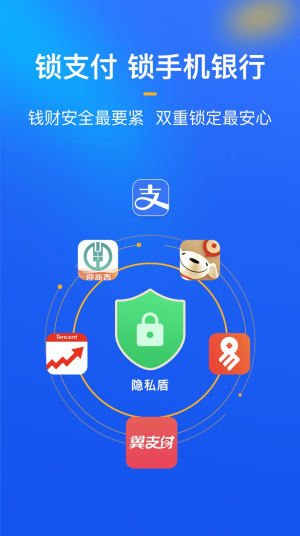 隐私盾截图