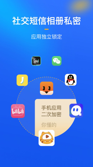 隐私盾截图