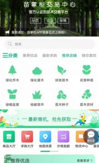 苗掌柜截图