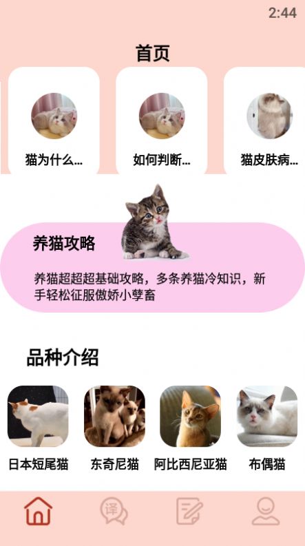 摸摸小猫截图
