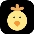 小鸡儿