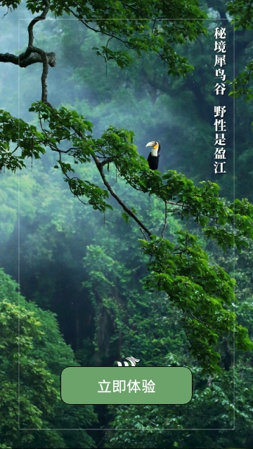 盈江云截图