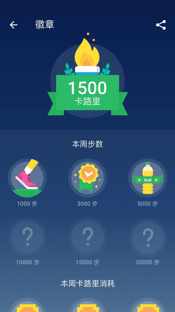 神妙步数截图
