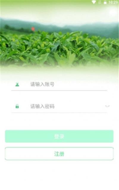 茶数截图