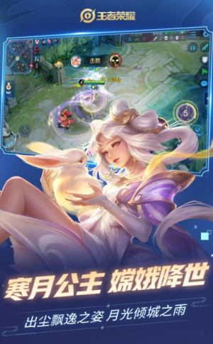 王者外观助手截图