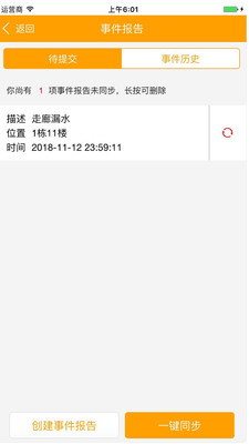 313巡检云截图