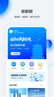 畅行花截图