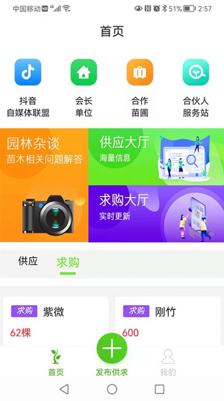 中树苗截图