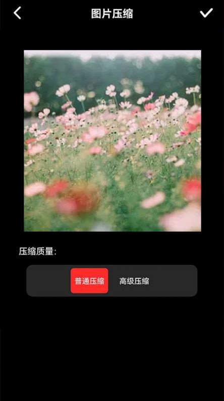 图像压缩器截图