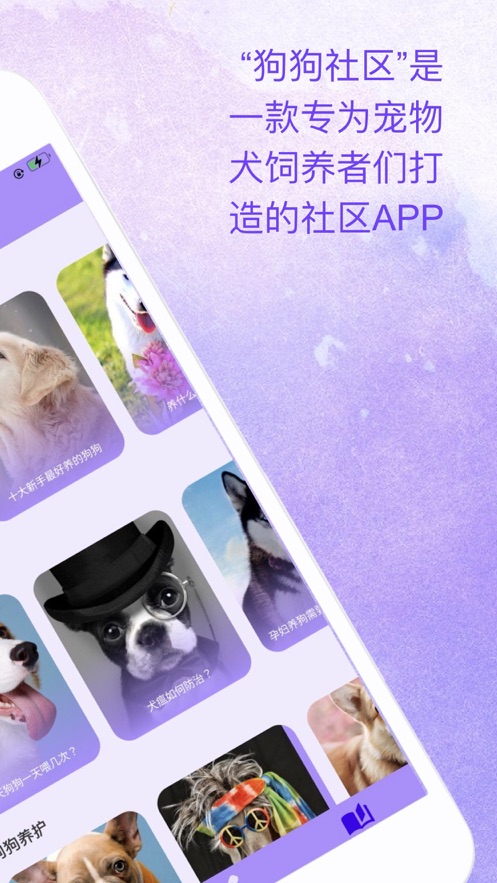 腾腾宠物社区截图