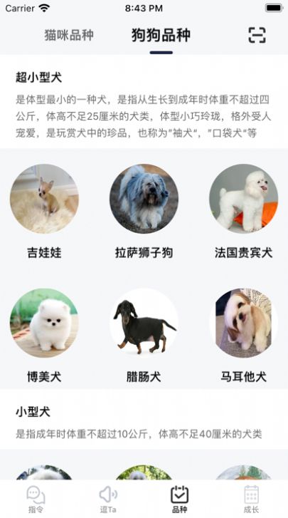 逗宠截图