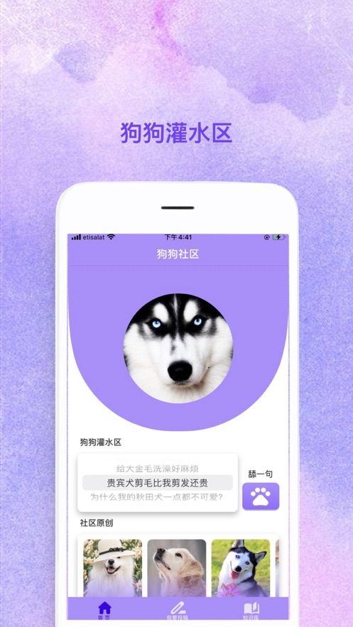 腾腾宠物社区截图