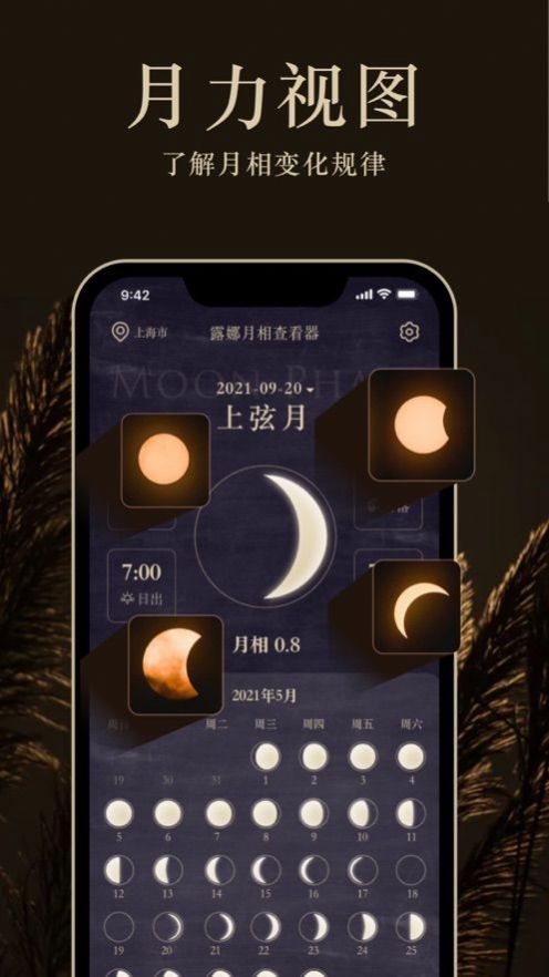 MOONPro截图