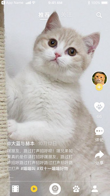 皮克方截图