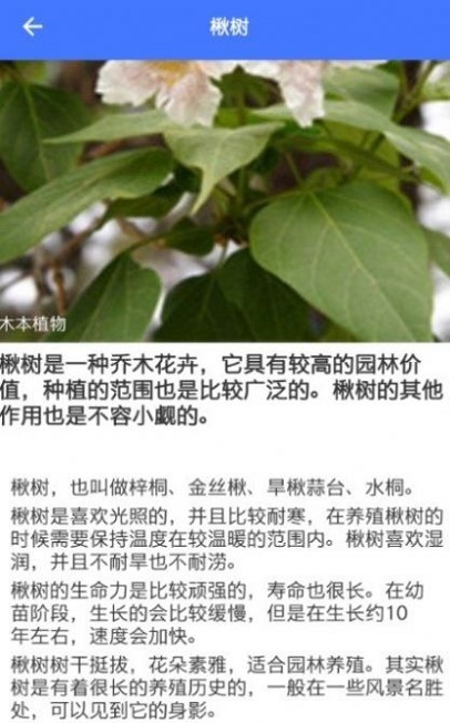 im识别截图
