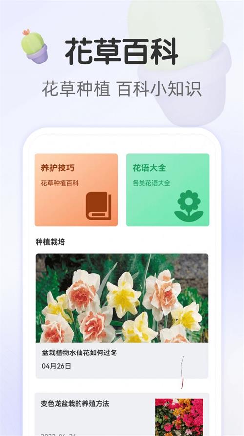畅享大字版截图