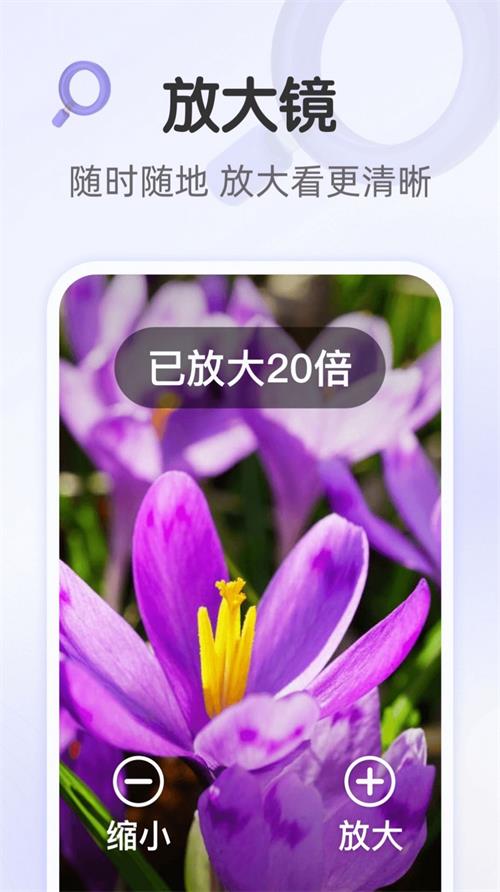 畅享大字版截图