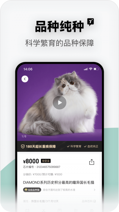 随它截图
