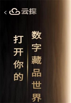 云探数藏截图